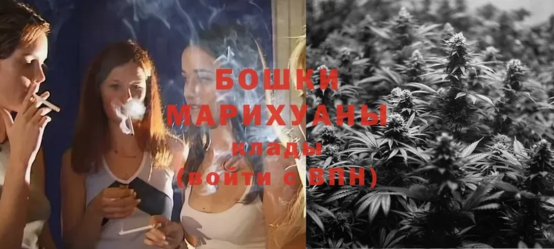 купить наркотики цена  Вичуга  Канабис Ganja 